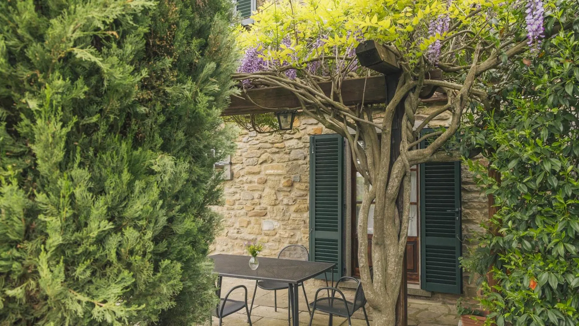 Farm stay Agriturismo Il Borgo Cortona