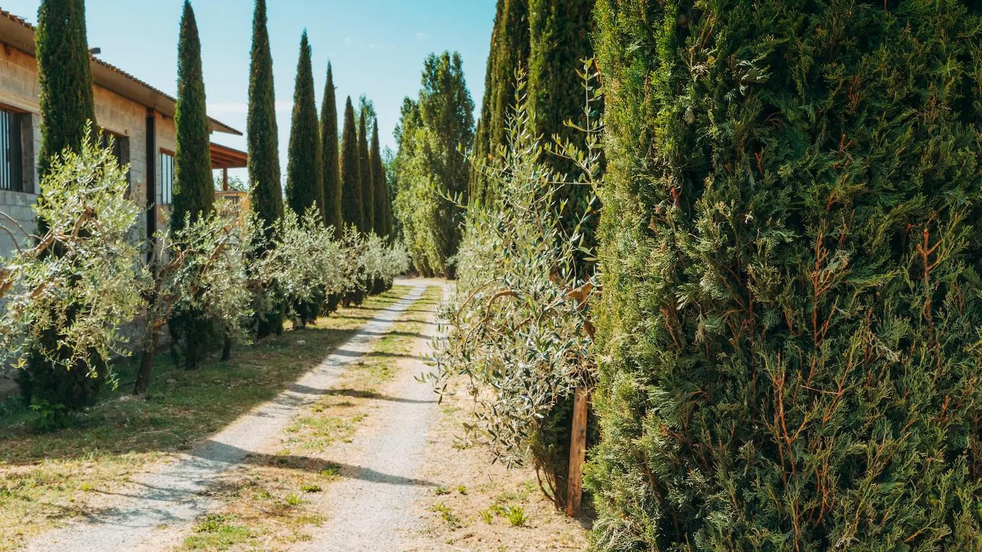 Agriturismo Il Borgo Cortona Farm stay