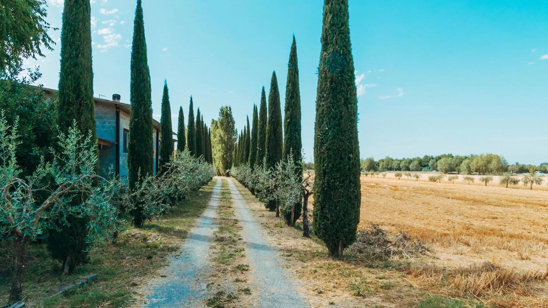 Agriturismo Il Borgo Cortona