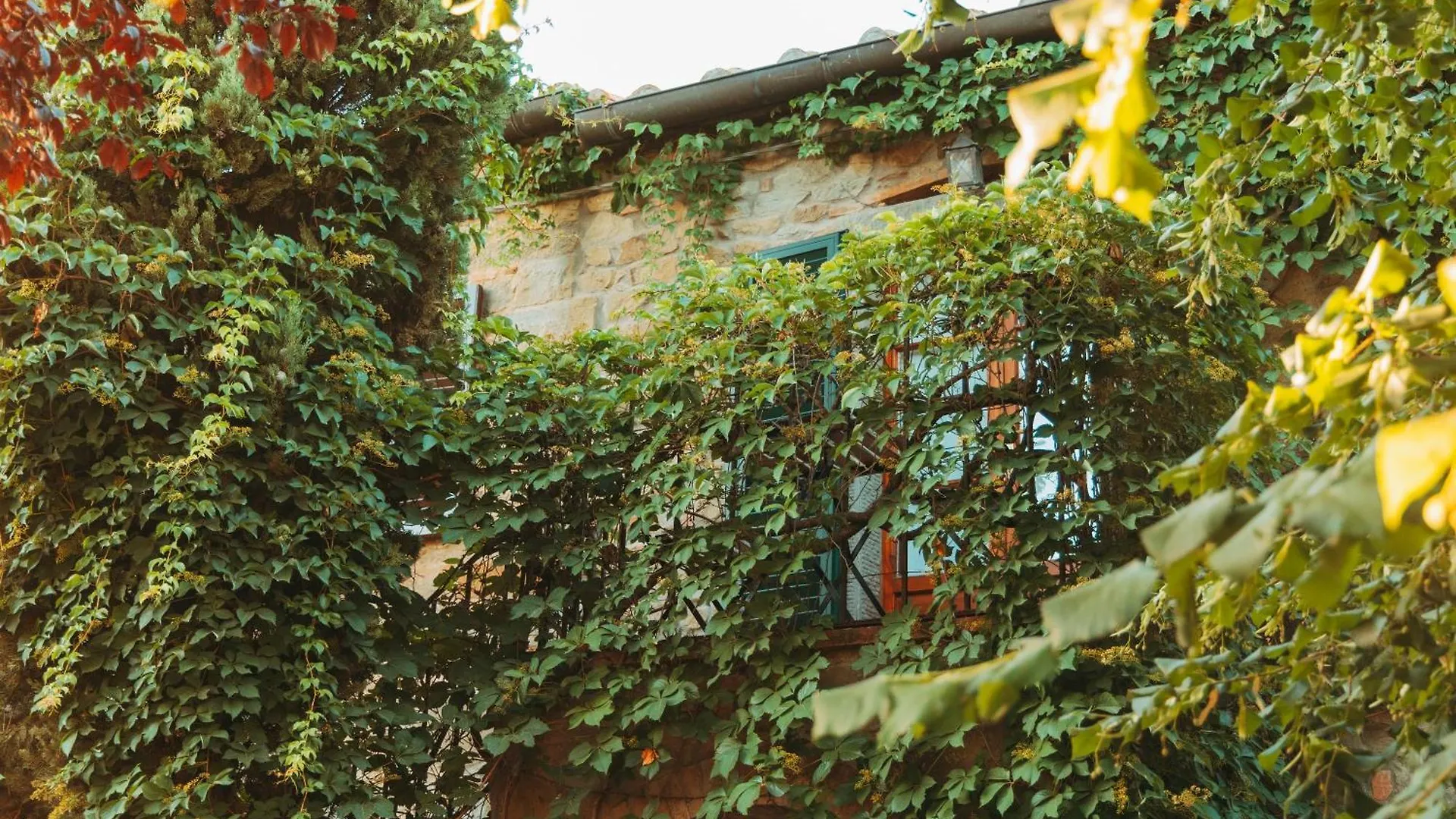Agriturismo Il Borgo Cortona Italy